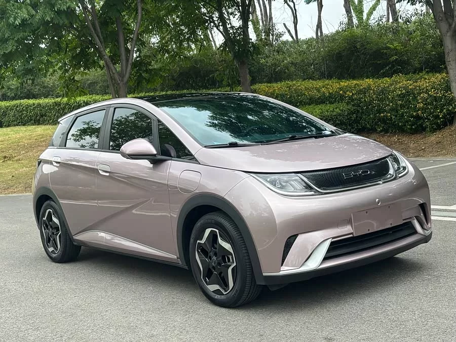 BYD Dolphin