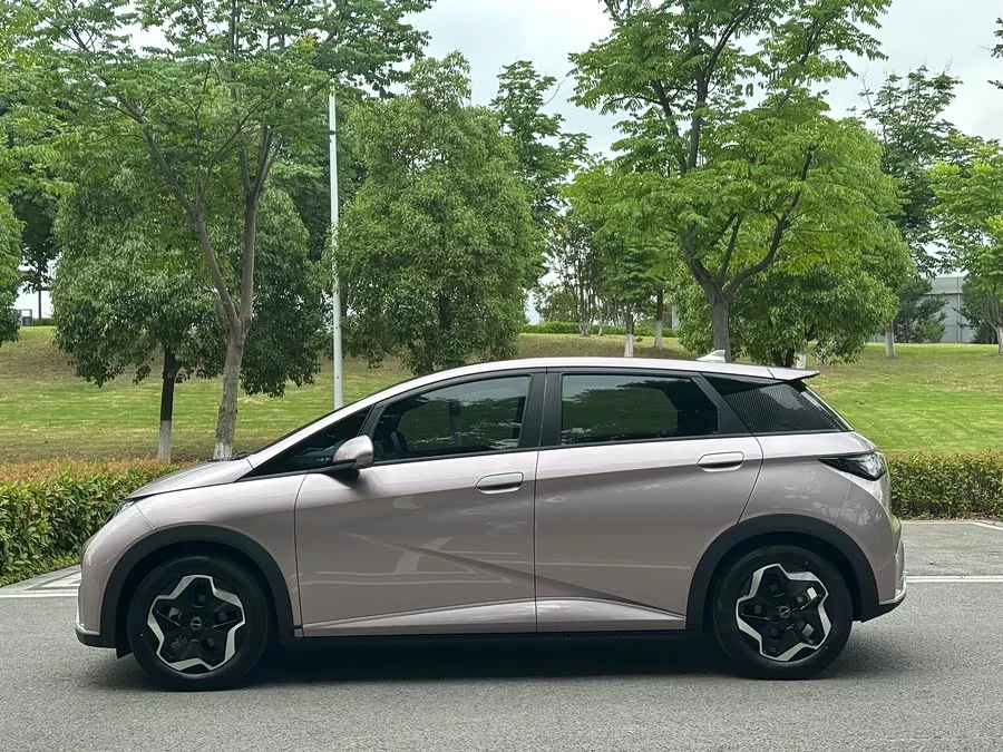 BYD Dolphin