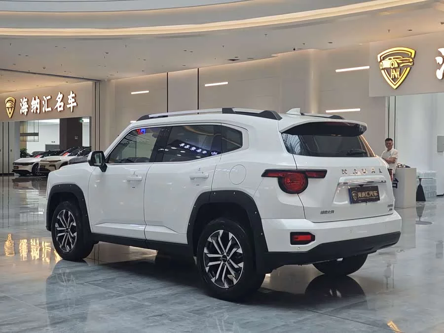 Haval Big Dog PLUS