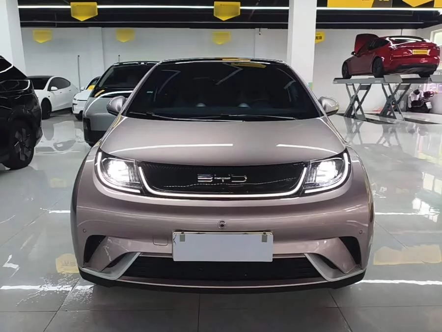 BYD Dolphin