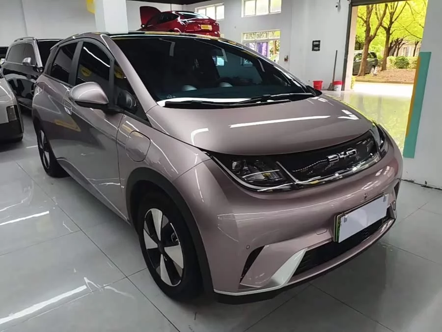 BYD Dolphin