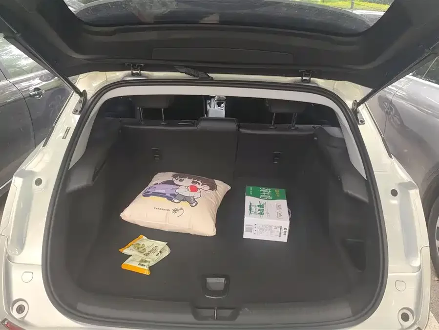 Buick Weilan 6