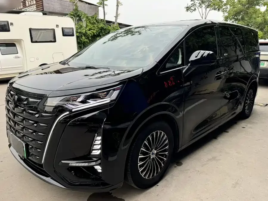 BYD D9