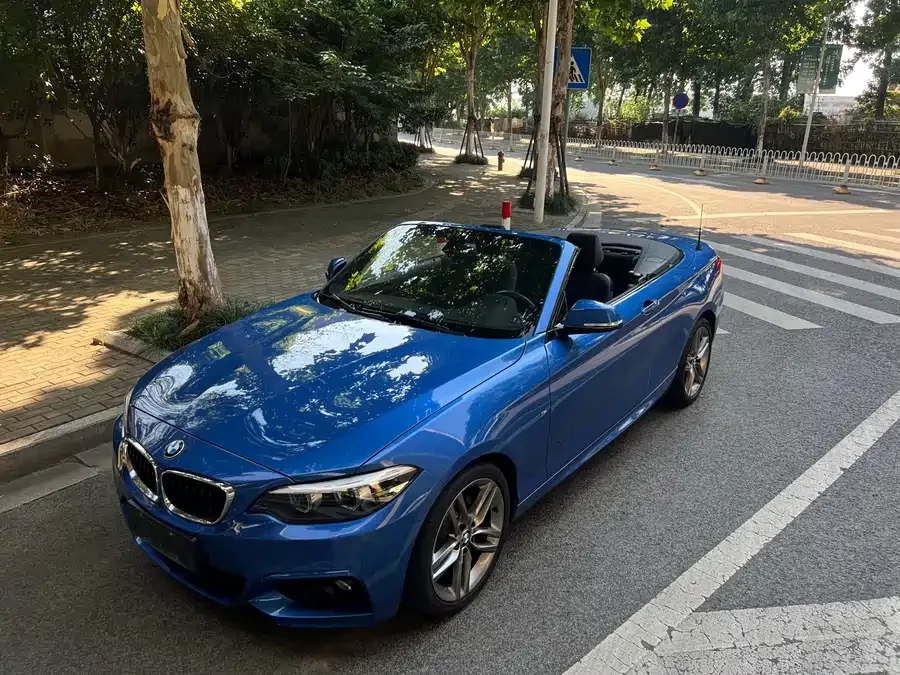 BMW 2 Series