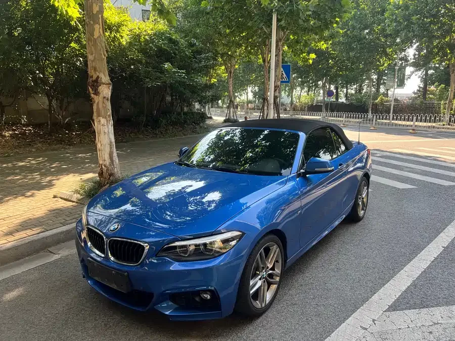 BMW 2 Series