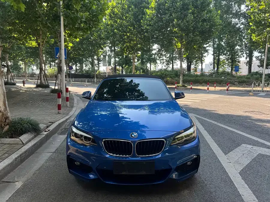 BMW 2 Series