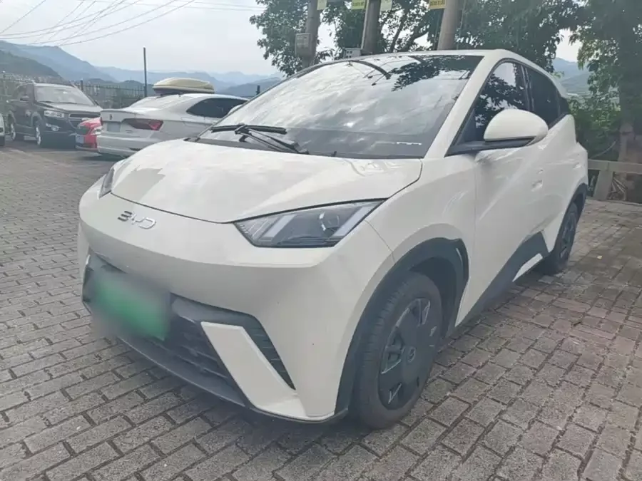 BYD Seagull