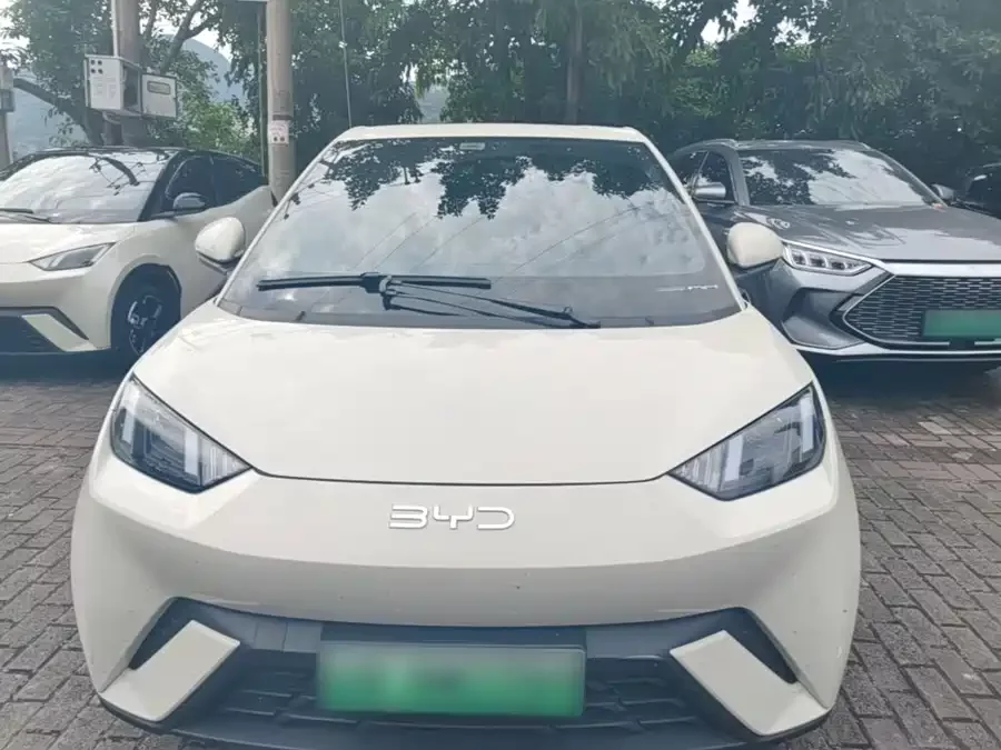 BYD Seagull