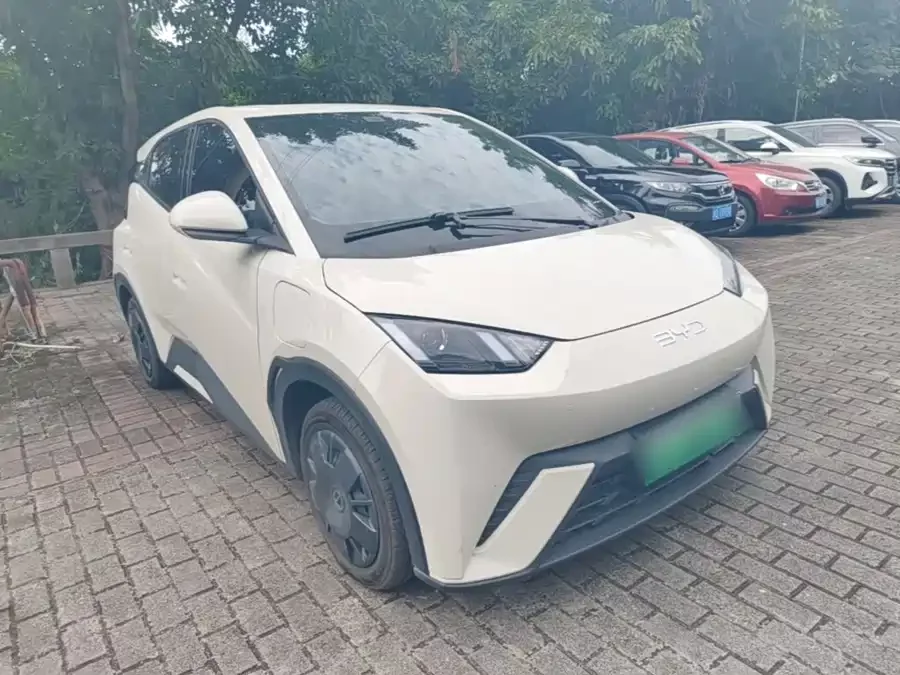 BYD Seagull