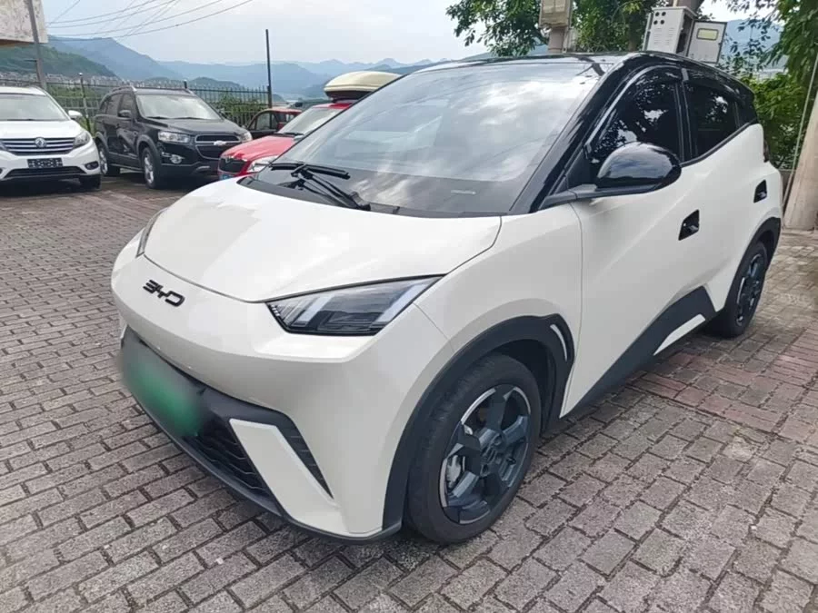 BYD Seagull