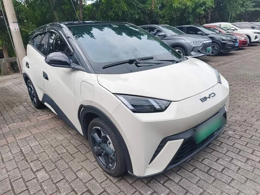 BYD Seagull