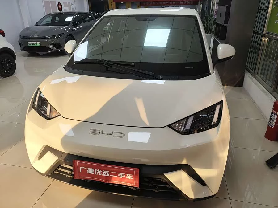 BYD Seagull