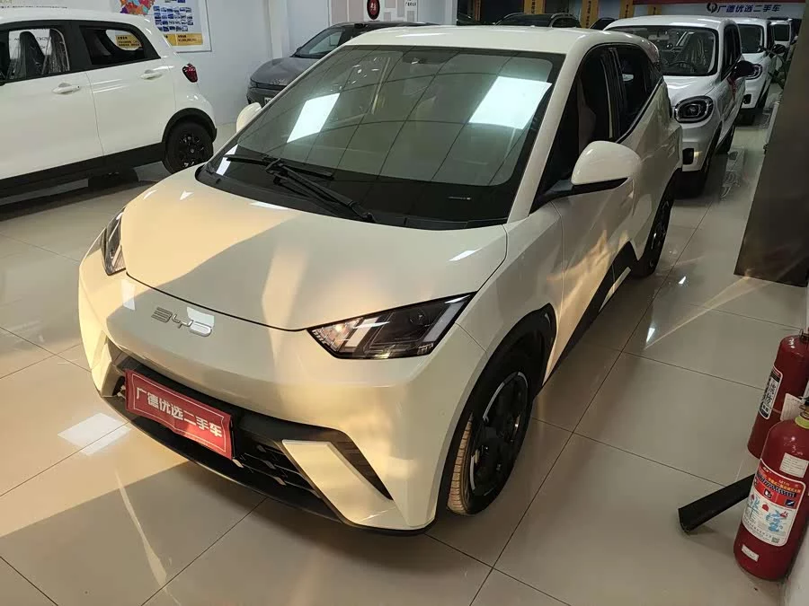 BYD Seagull