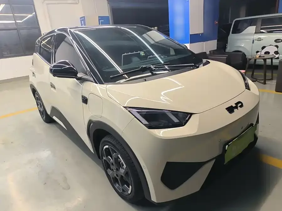 BYD Seagull