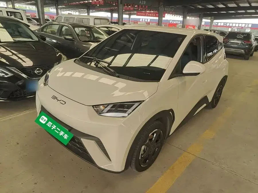 BYD Seagull