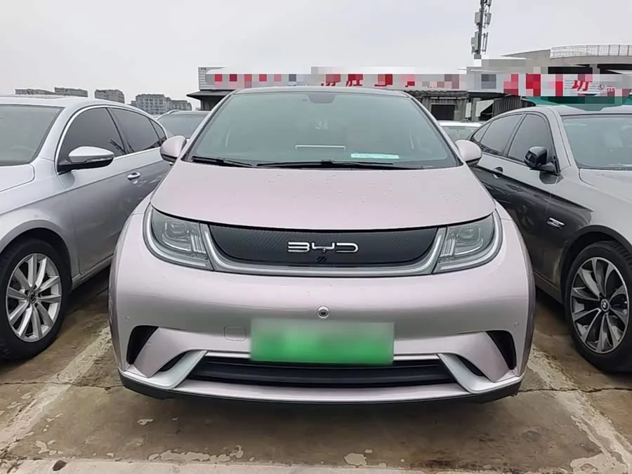 BYD Dolphin