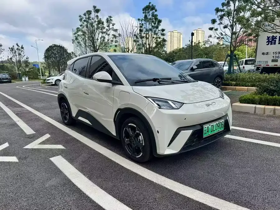 BYD Seagull
