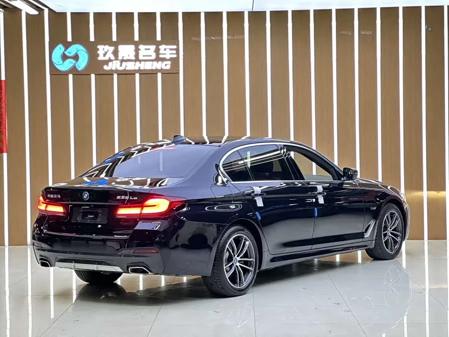 BMW 5 Series New Energy