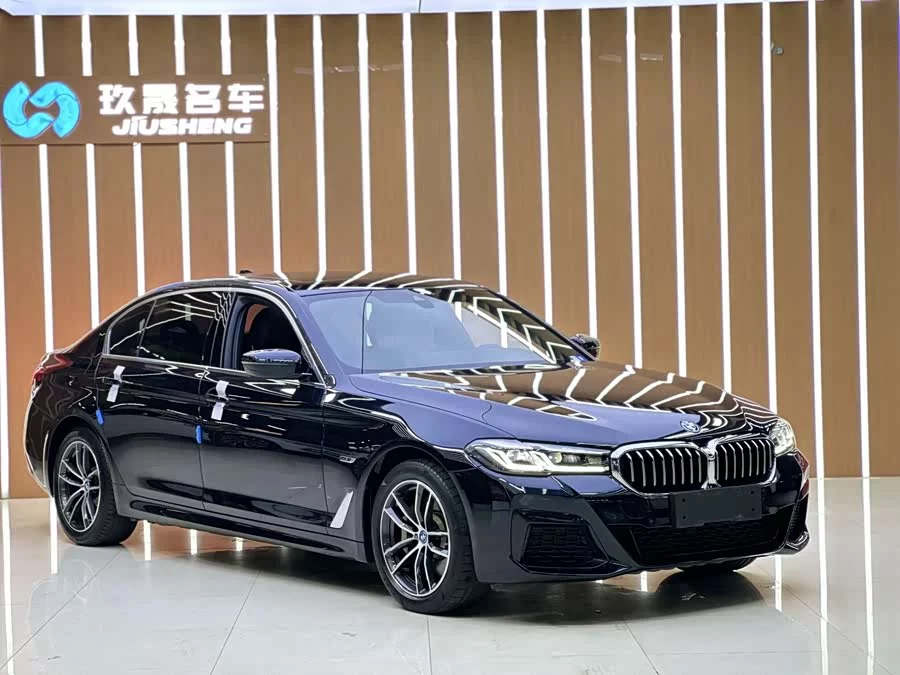 BMW 5 Series New Energy