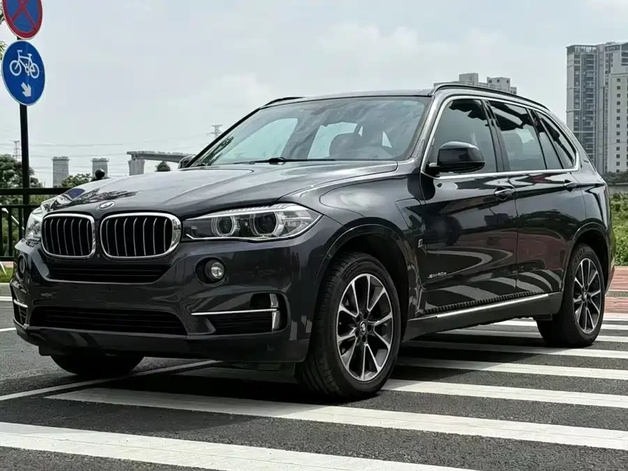 BMW X5 New Energy