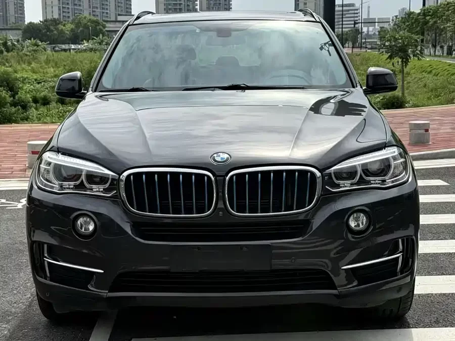 BMW X5 New Energy