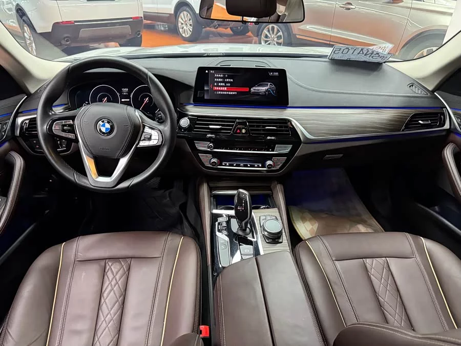 BMW 5 Series New Energy