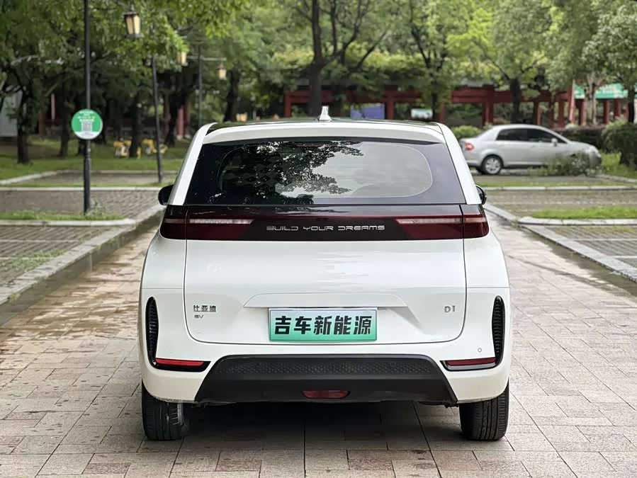 BYD D1