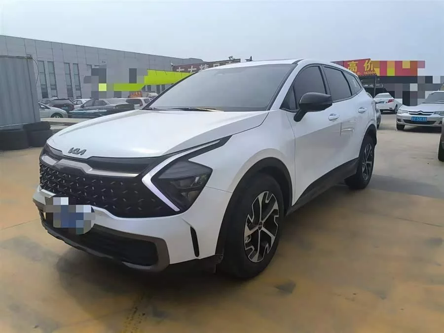 Kia Lion Platinum