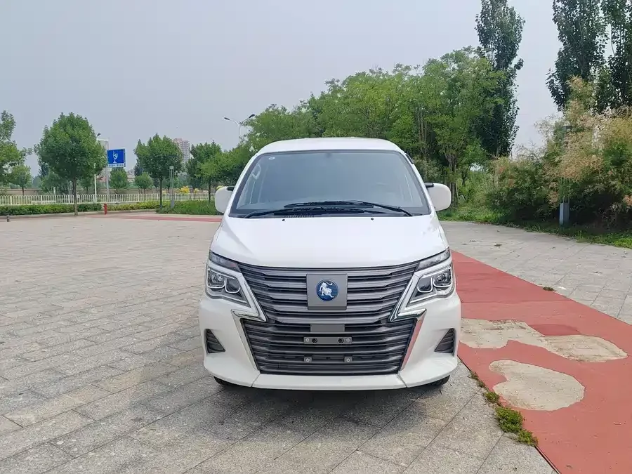 Dongfeng Lingzhi New Energy