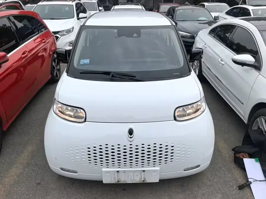 ORA White cat