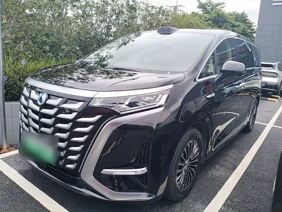 BYD D9