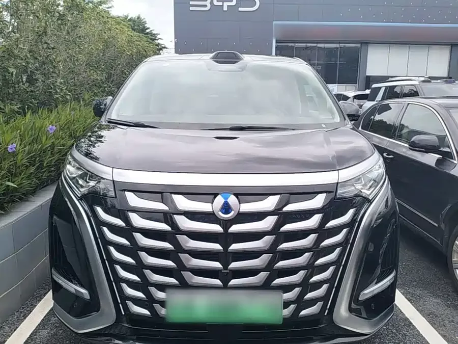 BYD D9