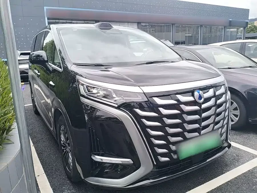 BYD D9