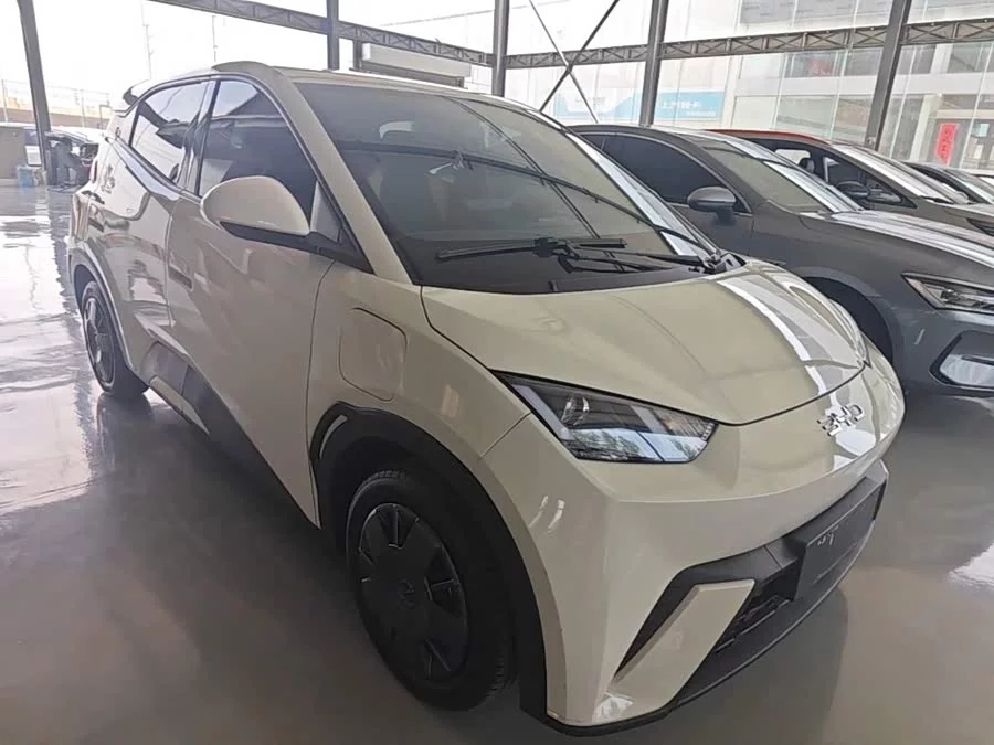 BYD Seagull