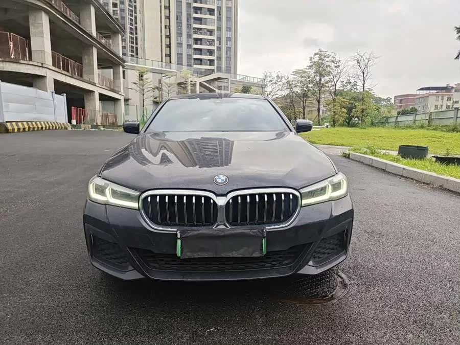 BMW 5 Series New Energy