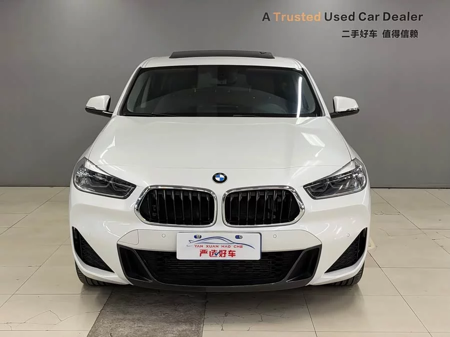 BMW X2