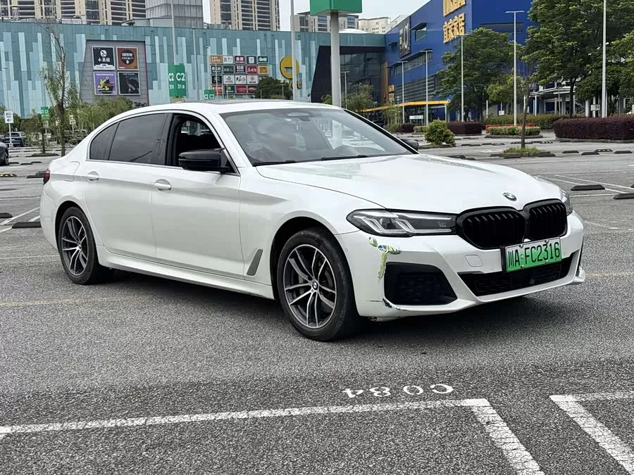 BMW 5 Series New Energy