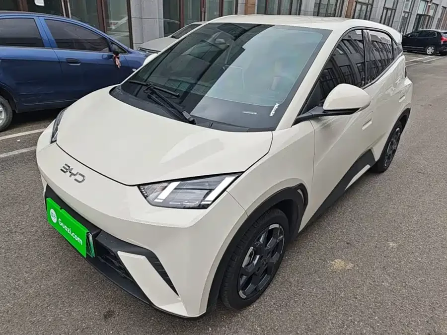 BYD Seagull