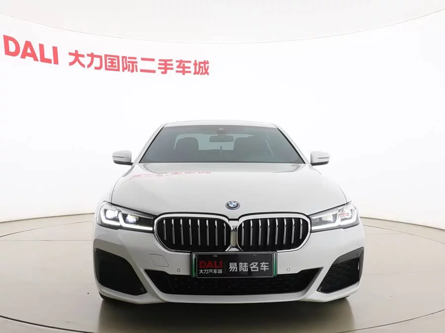 BMW 5 Series New Energy