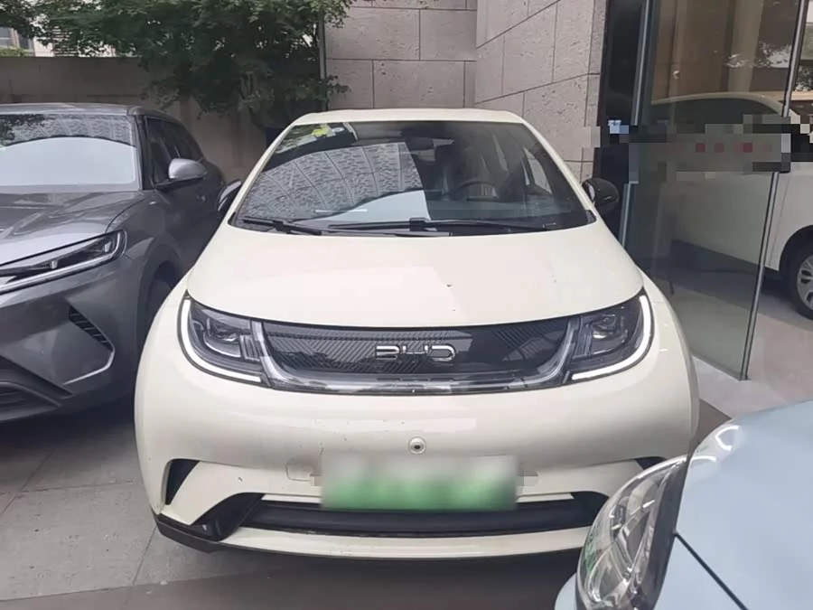 BYD Dolphin