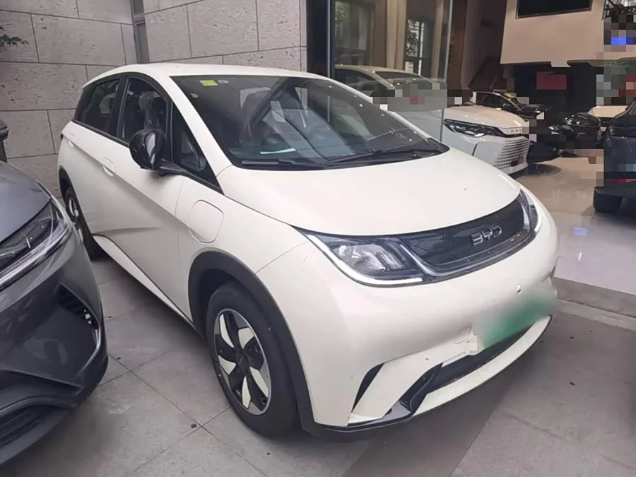BYD Dolphin