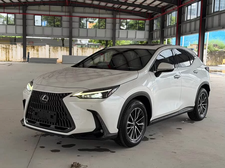 Lexus NX New Energy