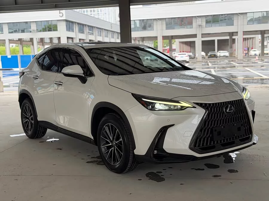 Lexus NX New Energy