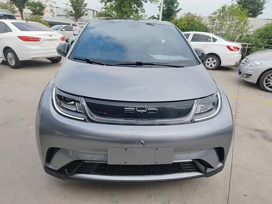 BYD Dolphin