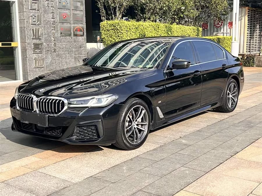 BMW 5 Series New Energy