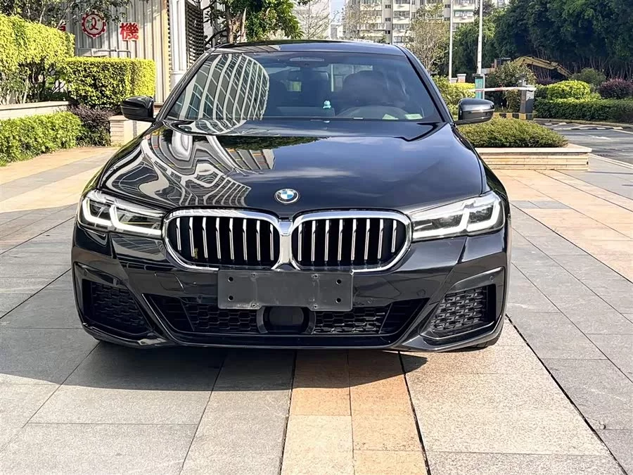 BMW 5 Series New Energy