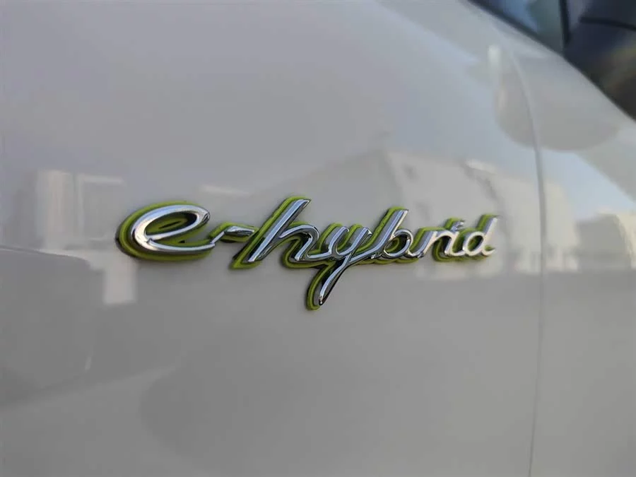 Porsche Cayenne New Energy
