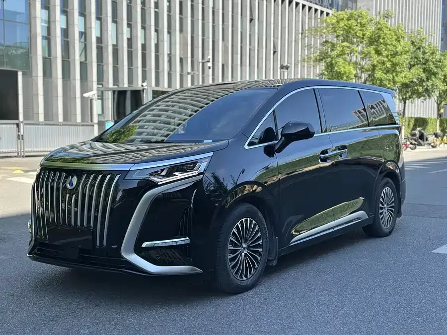 BYD D9