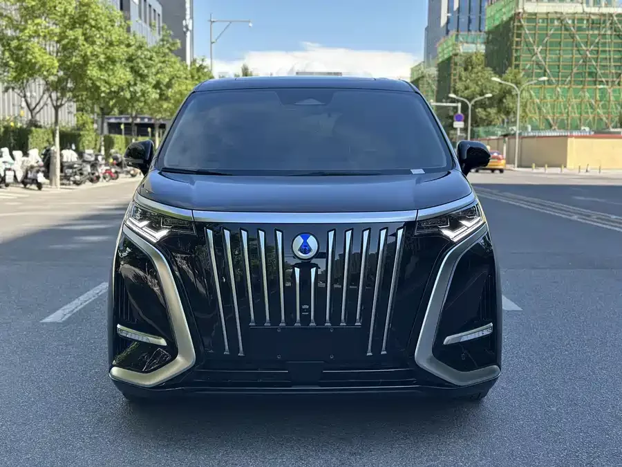 BYD D9
