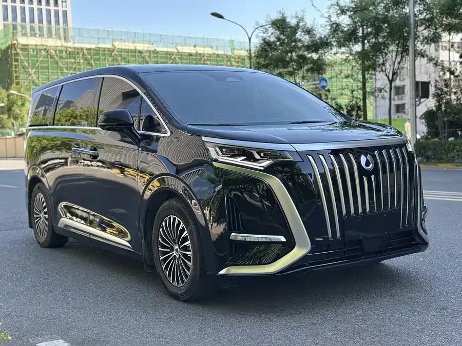 BYD D9